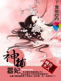 神捕嚣妃