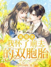 离婚夜，我怀了前夫的双胞胎