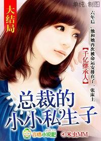 千亿继承人，总裁的小小私生子