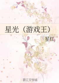 星光l六座版价格