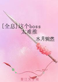 [全息]这个boss太难推