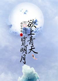 （综）欲上青天览明月