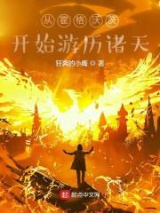 从霍格沃茨开始游历诸天