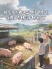 教全村养猪致富却惨遭质疑，我搬去邻村后全村悔疯了
