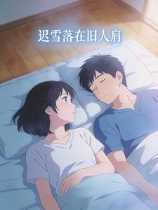 迟雪落在旧人肩