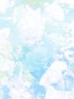 全宗门偏爱气运之子,我改修无情道后飞升成神了