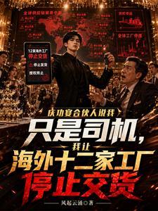 庆功宴合伙人说我只是司机我让海外十二家工厂停止交货